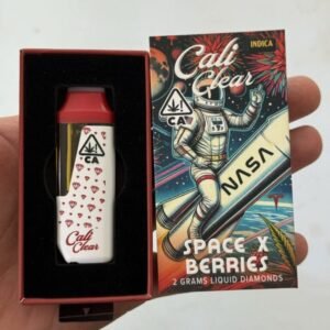 Space X Berries 2g Disposable