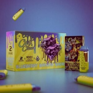 Blueberry Banana Bread 2g Disposable